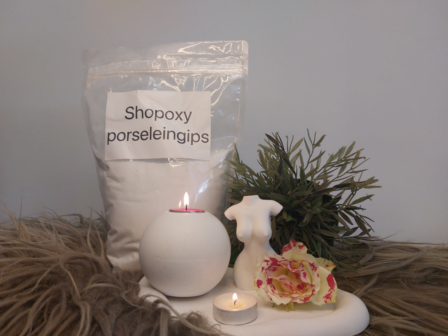 Shopoxy Porseleingips