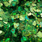 RAINBOW GREEN HEART FLAKE