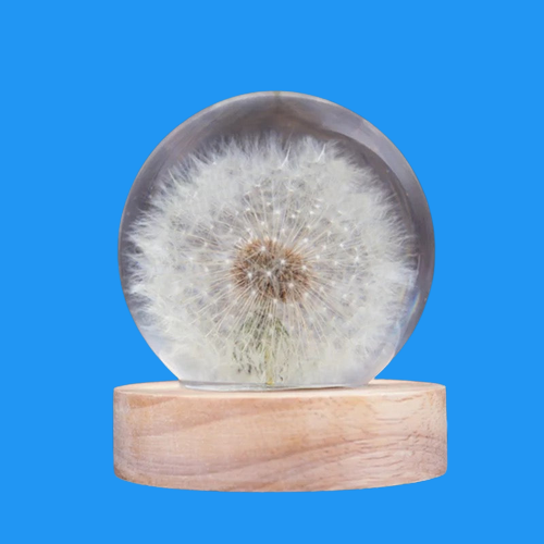 Ronde Bal met Ledlamp